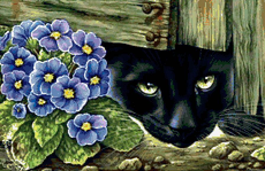 Черная кошка - кошка, животные - предпросмотр