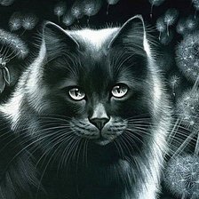 Оригинал схемы вышивки «Черная кошка» (№285182)