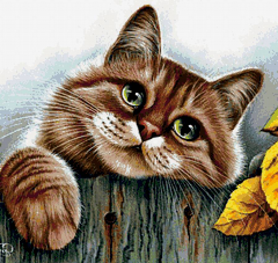 Мурочка - кошка, животные - предпросмотр