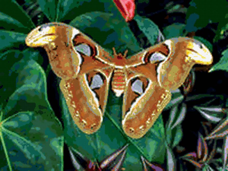 №285221 - природа - предпросмотр