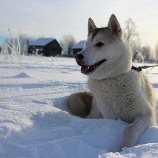 Схема вышивки «В гости к Северной Надежде»