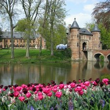 Схема вышивки «картина»