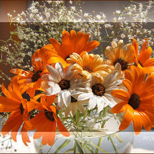 Схема вышивки «№285439»