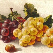 Оригинал схемы вышивки «виноград» (№285586)