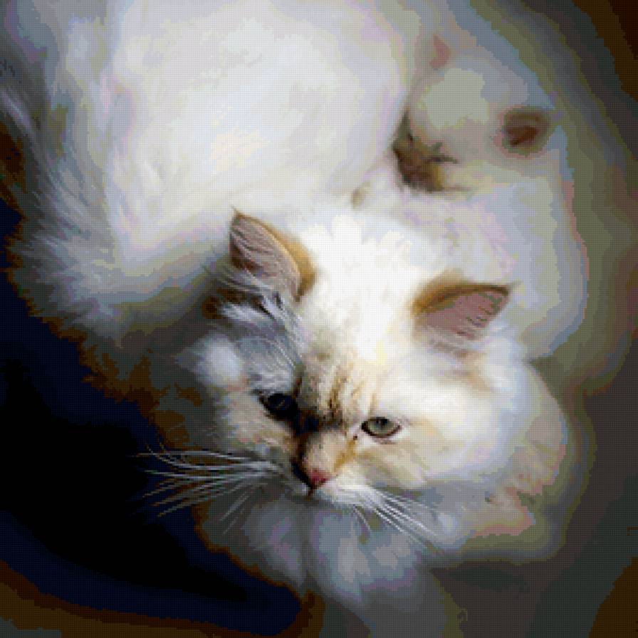 Кошачье семейство - кот - предпросмотр