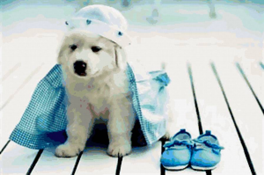 друг - малыш, щенок, друг, одежда - предпросмотр