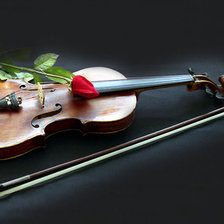 Оригинал схемы вышивки «Роза на скрипке» (№285763)