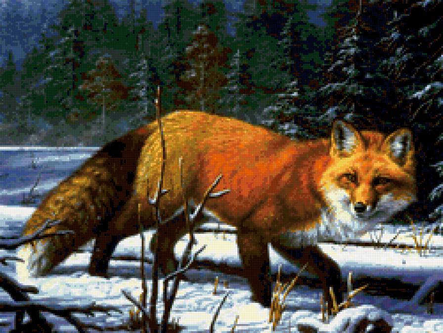 №285827 - лиса - предпросмотр