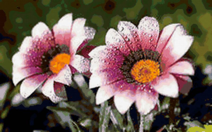 №285955 - цветы - предпросмотр