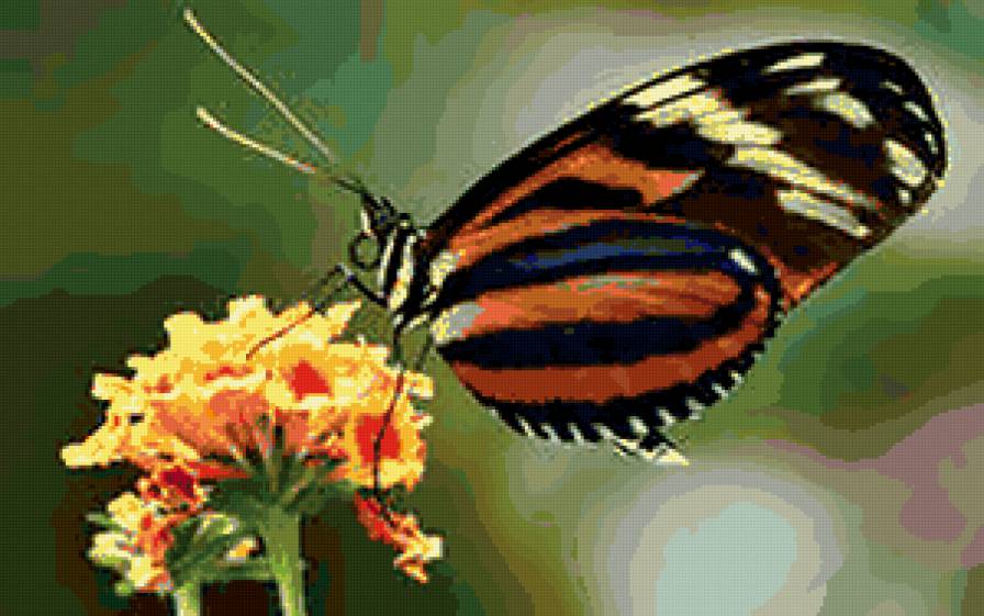 №285969 - природа - предпросмотр