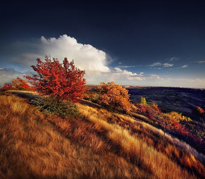 Осень - осень - оригинал