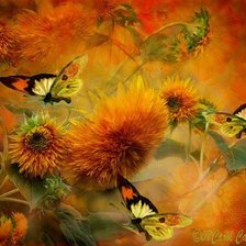 Схема вышивки «бабочки 2»