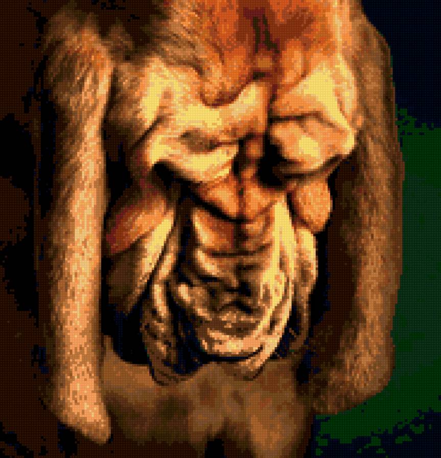 собака - собака - предпросмотр