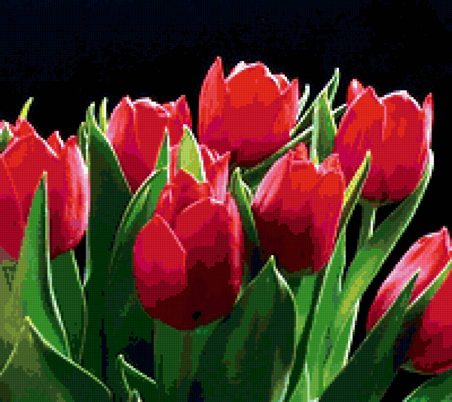 тюльпаны - тюльпаны, весенние цветы - предпросмотр