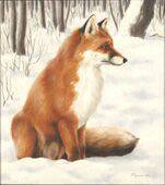 0068 - картина, природа, зима, красота, лиса, животные - оригинал