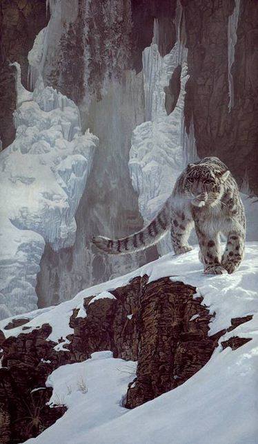 0070 - красота, горы, кошки, картина, животные, зима, природа, барс - оригинал