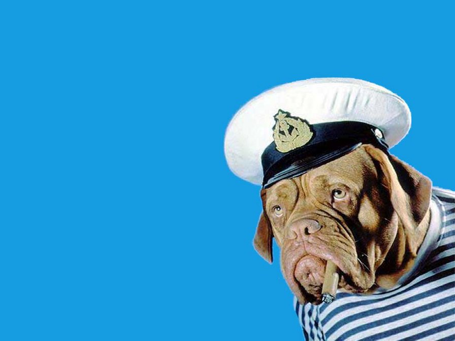 "Морской волк" - собачки - оригинал