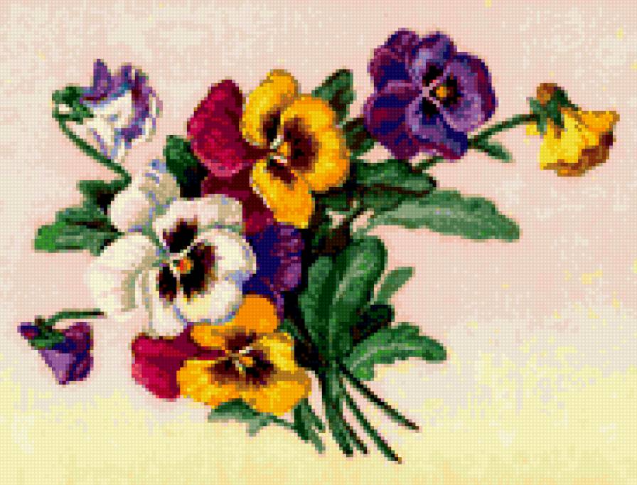 виола - цветы - предпросмотр