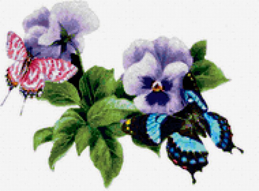 виола и бабочки - цветы - предпросмотр