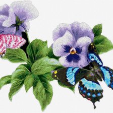 Оригинал схемы вышивки «виола и бабочки» (№286524)