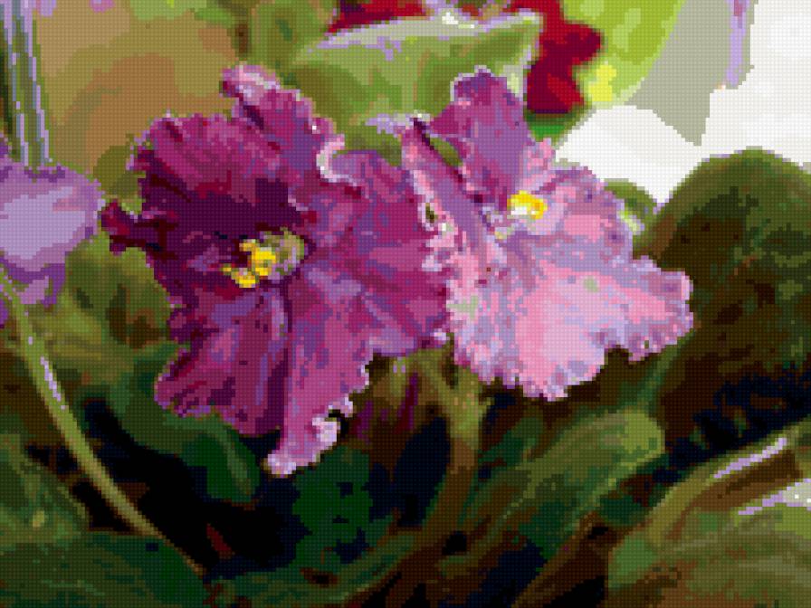 фиалка - фиалки - предпросмотр