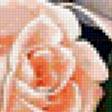 Предпросмотр схемы вышивки «Розы» (№286693)