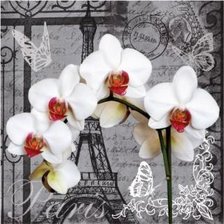 Схема вышивки «орхидея»