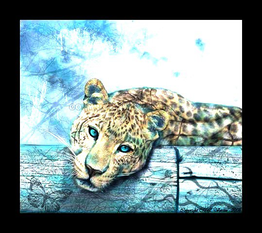 снежный леопард - оригинал