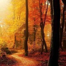 Схема вышивки «Осень»