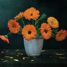 Схема вышивки «календула»