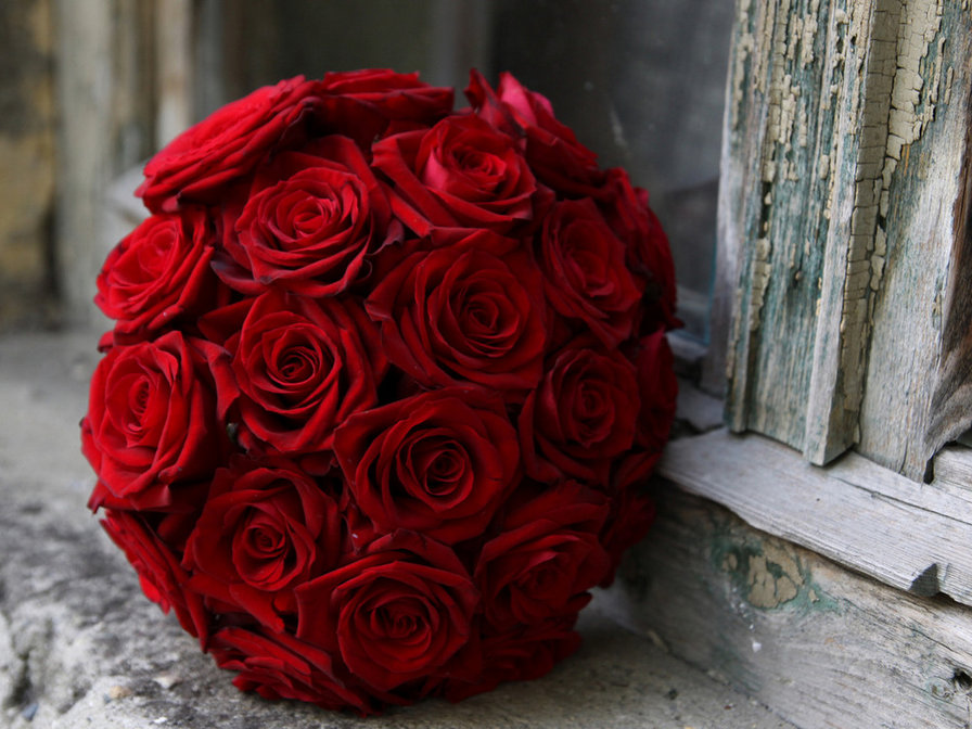 Букет алых роз - свадебный букет, цветы, розы - оригинал