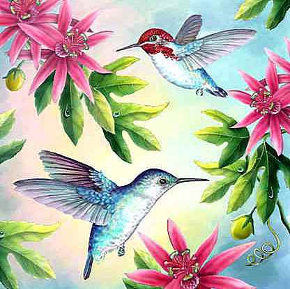 Коллибри и цветы - цветы, птицы - оригинал