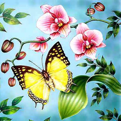 Бабочка и орхидеи - цветы, бабочка - оригинал
