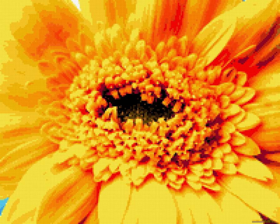 гербера желтая - предпросмотр