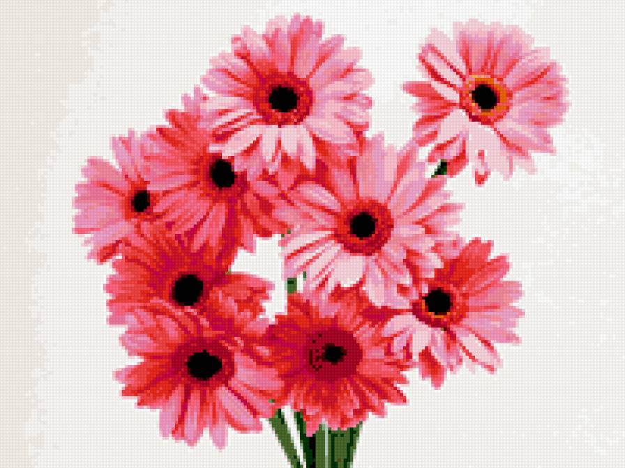 цветы - цветы, букет - предпросмотр