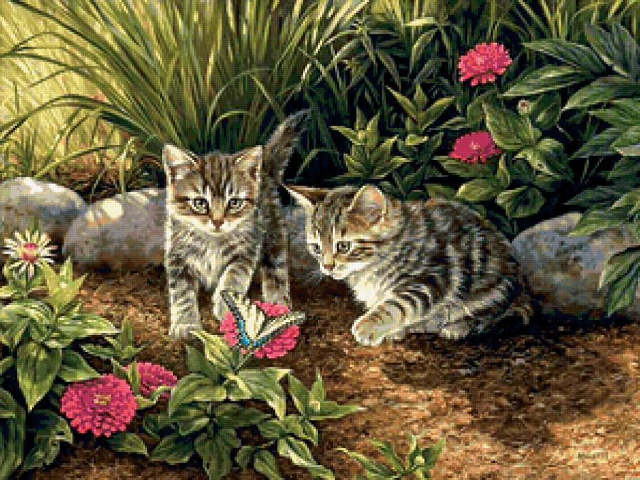Котята - природа - оригинал
