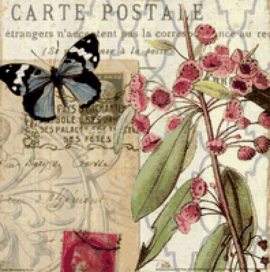 бабочка - цветы, бабочки - предпросмотр