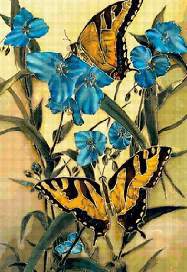 бабочки на цветах - предпросмотр