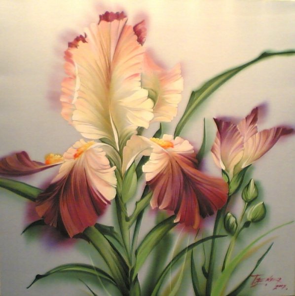 ирис - оригинал