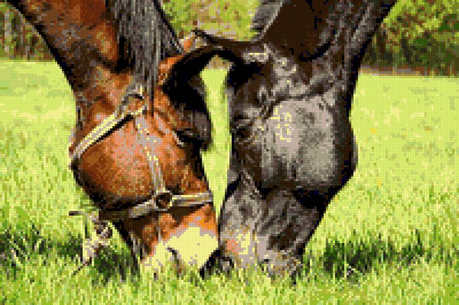 Пара - пейзаж, пара кони - предпросмотр