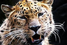 Схема вышивки «№287657»