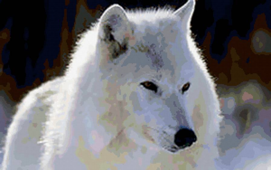 №287705 - животные - предпросмотр