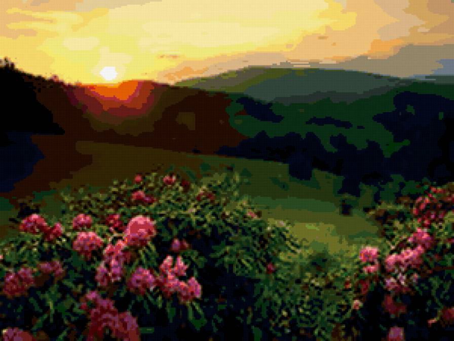 №287804 - букеты, цветы, розы - предпросмотр