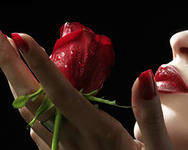 №287986 - розы, букеты, цветы - оригинал