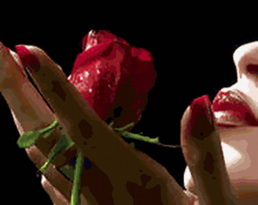 №287986 - букеты, цветы, розы - предпросмотр