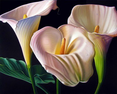 №288128 - оригинал