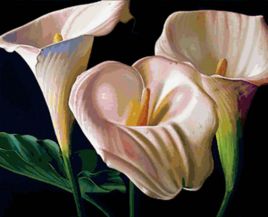 №288128 - предпросмотр