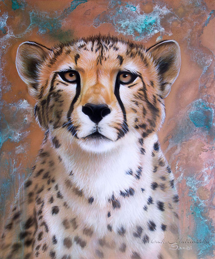 ХУДОЖНИК - Sandi Baker - картина, пума, животное, барс, зверь, лев, хищник, тигр, худ, дикая кошка - оригинал