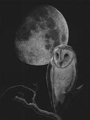 №288144 - оригинал