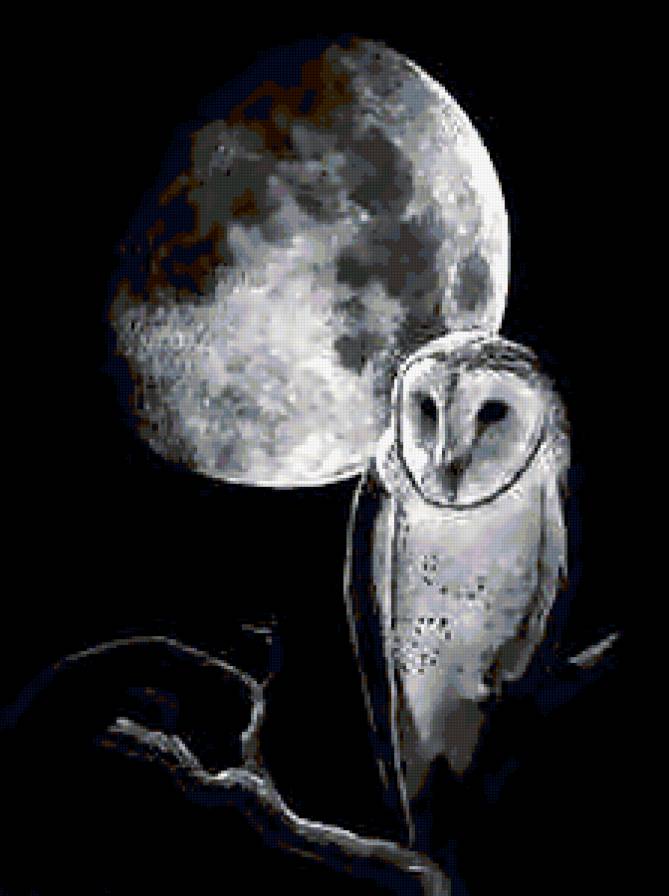 №288144 - предпросмотр